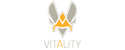 team vitality t shirt